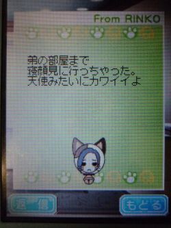 リンコ姉さんからのメール「弟の部屋まで寝顔見に行っちゃった。天使みたいにカワイイよ」